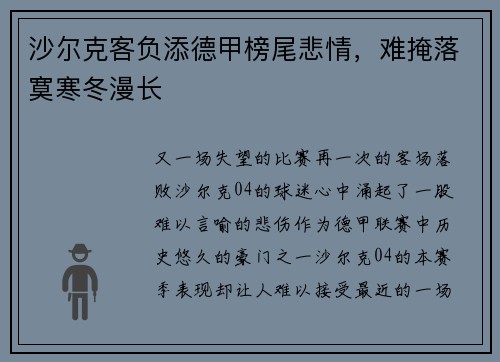 沙尔克客负添德甲榜尾悲情，难掩落寞寒冬漫长